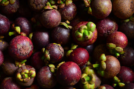 Top view mangosteensの写真素材