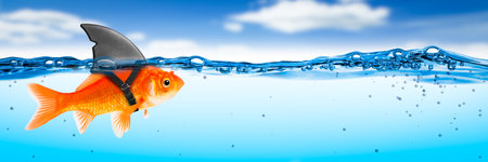 Goldfish With Shark Fin Costume - Brave Ambitious Entrepreneur/ Business Vision Conceptの写真素材