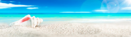 Summer background with seashell on the sandy beach. Banner with copy space