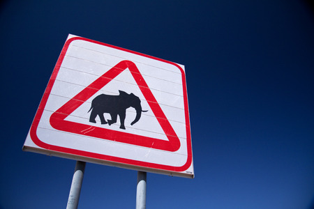 Caution Elephantsの写真素材