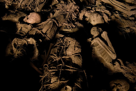 dead bodies