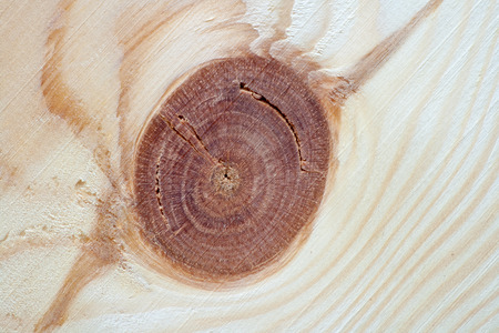 background from natural fibers natural woodの写真素材