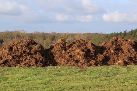 spreading a bunch of farm manure for organic agricultureの写真素材