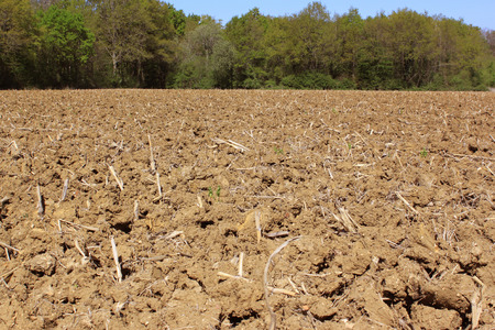 ground plowed for an organic farming for the sowing of spring with a horizon raised on a blue skyの写真素材