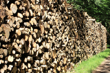 Arranged in cords of wood logs for heatingの写真素材