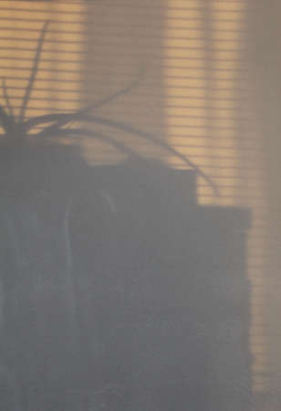 shadow on the wallの写真素材