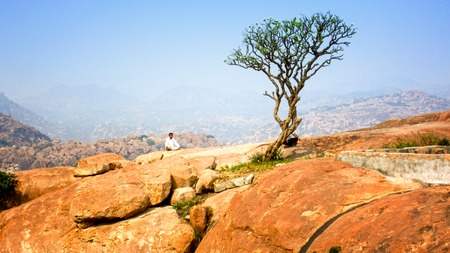 Buddhist monk meditation at the top of mountain with singl treeの写真素材