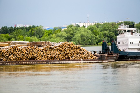 Many wooden logs transported on barge boat on the riverの写真素材