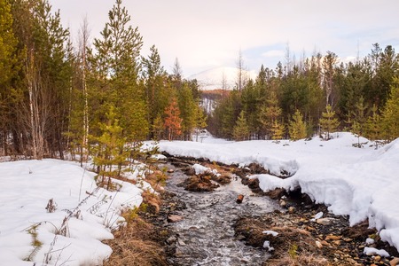 river cane in ice and snow on the mountain riverの写真素材