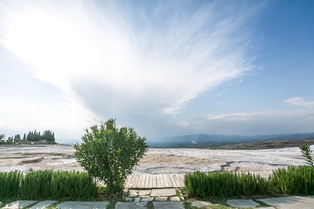 Green and stone landscape with the limestones and bush. Sunny white-blue cloudy sky - Pamukkaleの写真素材