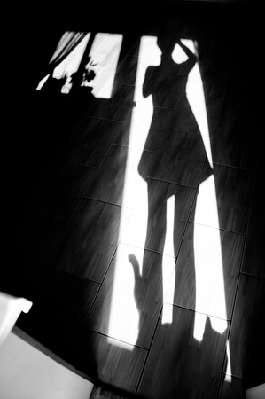 Cheerful girl with a cat - shadow on house floor in the morning. Black and white photo, monochromeの写真素材