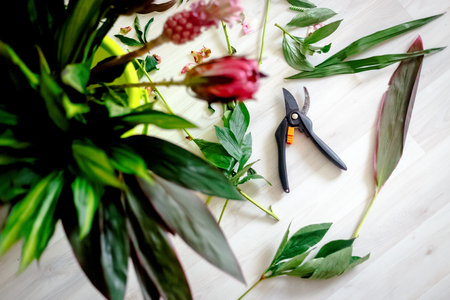 Red flowers with scissors in workshop place before making bouquetの写真素材