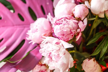 Pink peonies in workshop place before making bouquetの写真素材