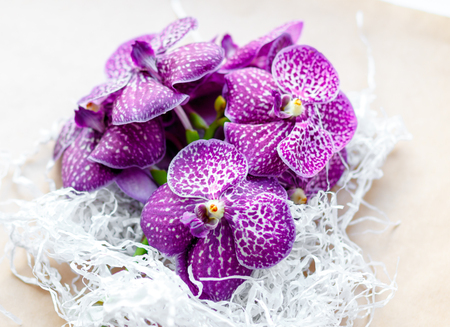 bouquet of purple orchids on a craft paper close upの写真素材