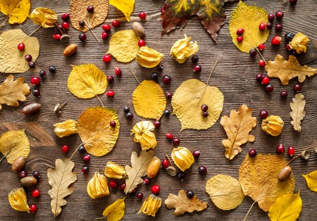 Autumn still life with orange caramel and cranberries on wooden background.