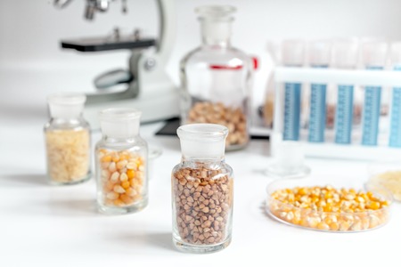 cereals in glass vials for analysis in laboratory on microscope backroundの写真素材
