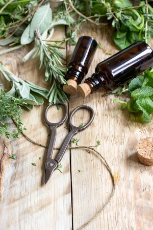 spicy fresh herbs on the wooden background.の写真素材