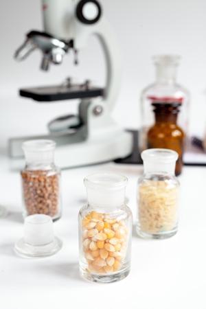 cereals in glass vials for analysis in laboratory on microscope backroundの写真素材