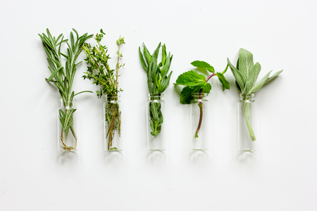 mint, sage, rosemary, thyme - glass bottles aromatherapy white background top viewの写真素材