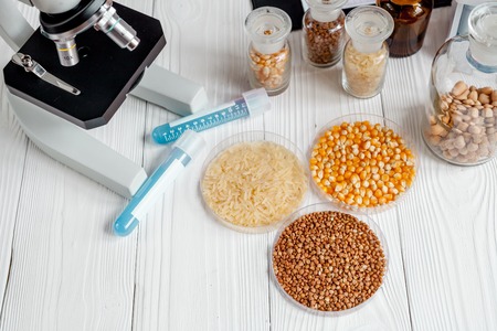 cereals in petri dish for analysis in laboratory with microscope wooden background no oneの写真素材