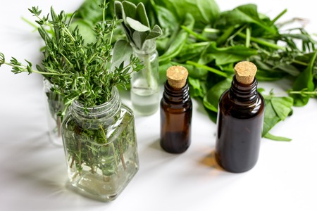 mint, sage, rosemary, thyme - aromatherapy white background top viewの写真素材