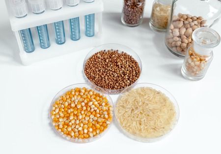Tests for pesticides in cereal in at laboratory no oneの写真素材