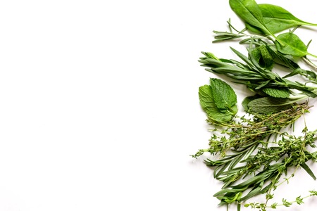 mint, sage, rosemary, thyme - aromatherapy white background top view