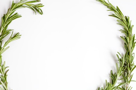 frame from rosemary on white background top view.の写真素材