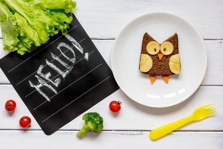 kids menu owl shaped sandwich with greenery hello top view at wooden backgroundの写真素材