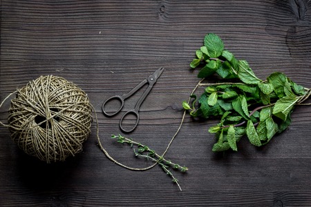 mint bunch with twig and scissors on wooden table top viewの写真素材