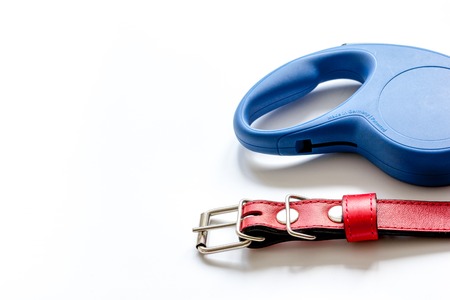 concept pet care and grooming on white background.の写真素材