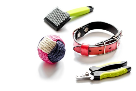 concept pet care and grooming on white background.の写真素材