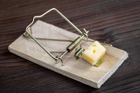 concept food for rodents in mousetrap on wooden background top viewの写真素材