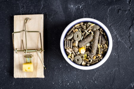 concept food for rodents in mousetrap on wooden background top viewの写真素材