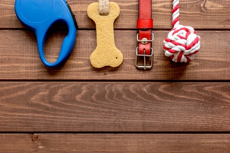 concept pet care and training on wooden background top view.の写真素材