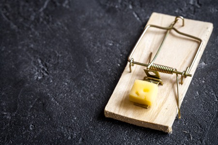 concept food for rodents in mousetrap on wooden background top viewの写真素材