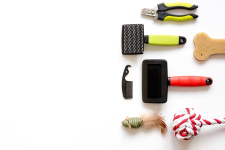 concept pet care and training on white background top view.の写真素材