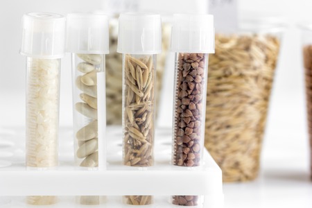 Food quality control in laboratory no one close upの写真素材