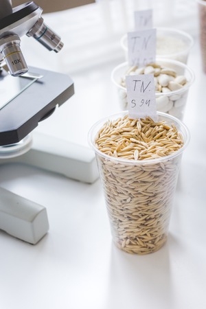 Tests for pesticides in cereal in at laboratory no oneの写真素材