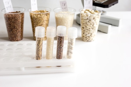 concept healthy food inspection in laboratory no one close upの写真素材