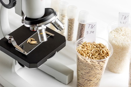 Tests for pesticides in cereal in at laboratory no oneの写真素材