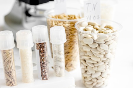 Food quality control in laboratory no one close up
