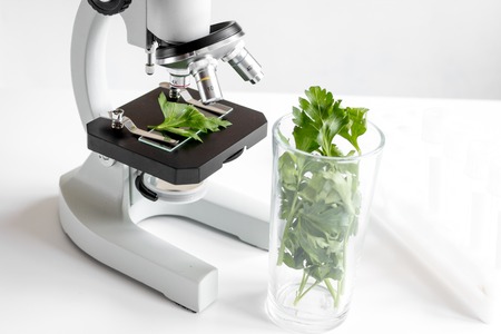 concept - check dietary supplements in laboratory on microscopeの写真素材