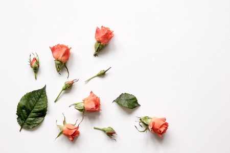 pattern of flowers on white background top view mock upの写真素材