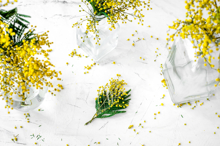 mimosa in glass vase on white background top viewの写真素材