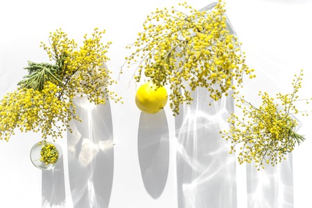 mimosa in glass vase on white background top view.の写真素材