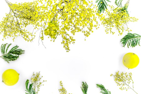 mimosa in glass vase on white background top view.の写真素材