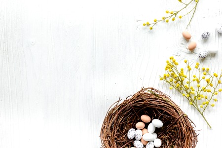 Eggs and nest for easter on white background top veiw mock-upの写真素材