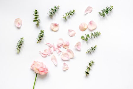 floral pattern with rose petals and eucalyptus on white table top viewの写真素材