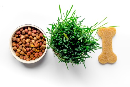 dry dog food in bowl on white background top view.の写真素材